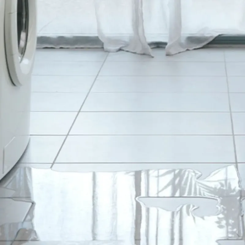 Appliance Leak Cleanup in Josephine, TX