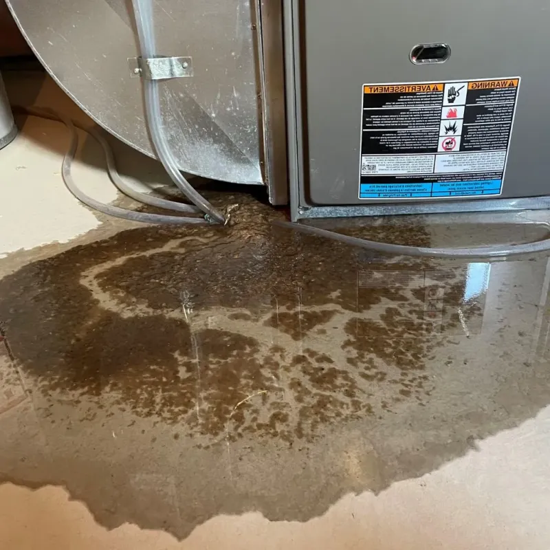 Pipe Burst and Leak Restoration in Josephine, TX