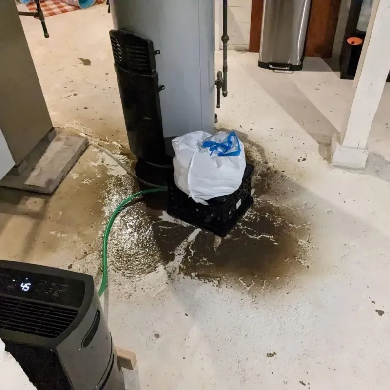 Sewage Backup Cleanup Service in Josephine, TX
